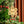 Load image into Gallery viewer, Rattan | Flower